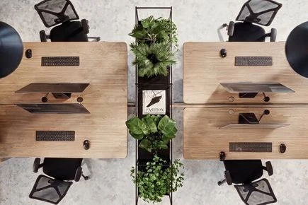 Bringing Organic Life into High Performing Workplaces