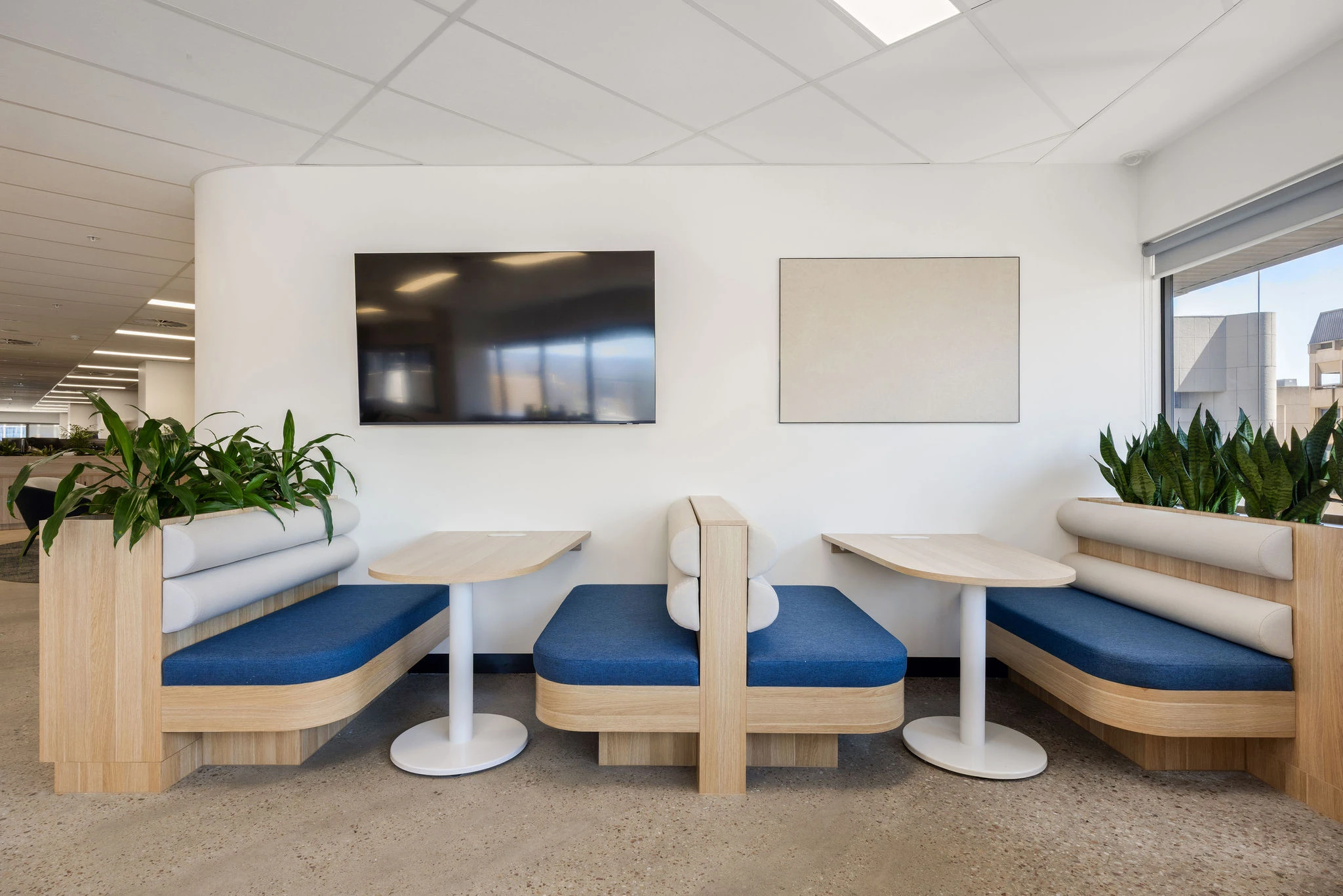 Suspended planter box greenery against deep blue joinery and warm timber overhead cabinets