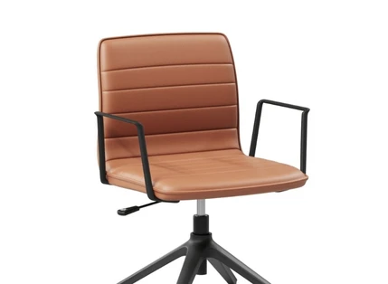 Premium Upholstery Options