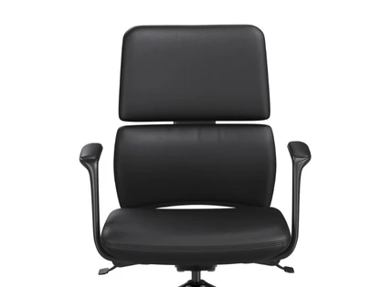 Premium Napa Leather Upholstery