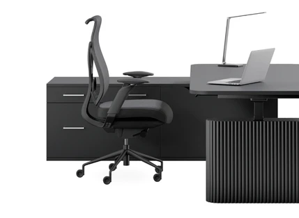 Integrated Spine Storage