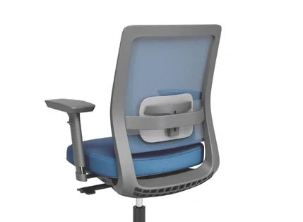 Adjustable Lumbar Support