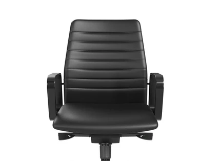 Durable Synthetic Leather Upholstery