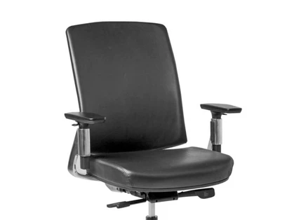 Premium Upholstery Options
