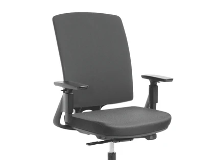 Mesh or Fabric Upholstery