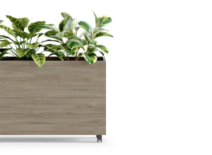 Lockable Castors for Mobility