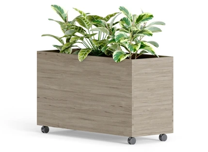 Designed for Healthy Plants