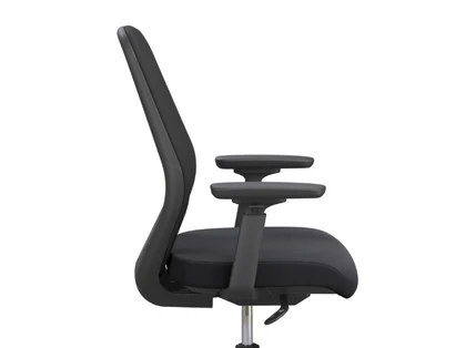 4D Armrest Adjustability