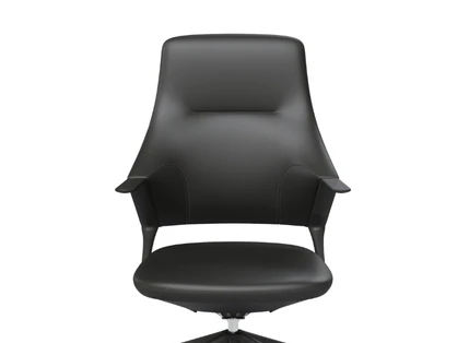 Premium Upholstery Options