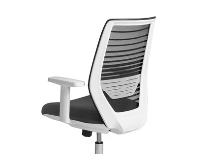 Dual Backrest Options