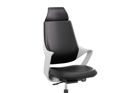 Upholstery and Headrest Options