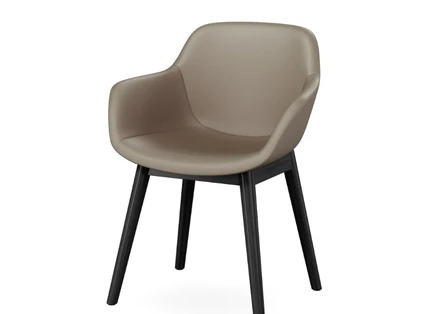 Premium Upholstery Palette