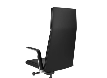 High and Medium Back Models