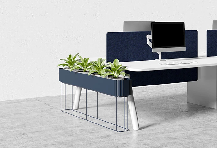 Designed for Style and Plant Health