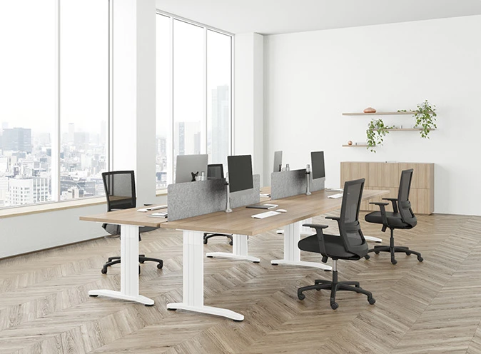 A Robust Cantilever Workstation