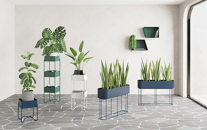 Designed for Storage and Display