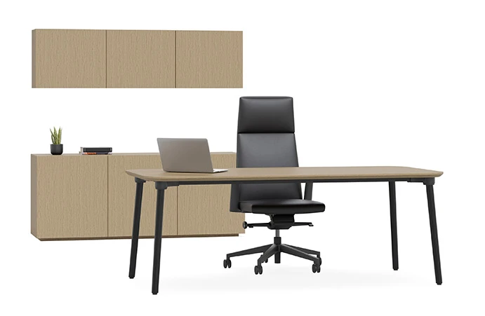 A Statement in Executive Design