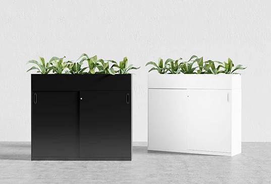 Introduce Biophilic Design