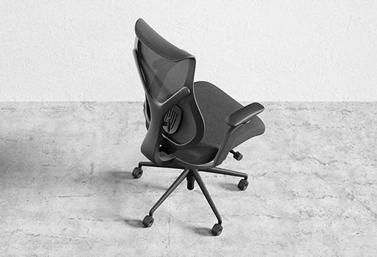 Targeted Back Support