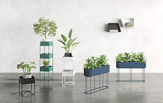 A Choice of Modern Colours