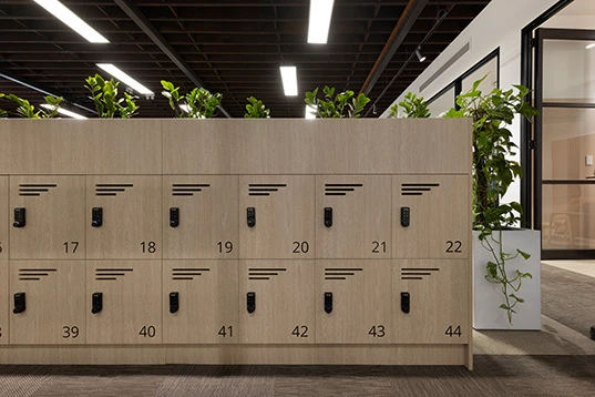 Introduce Biophilic Design