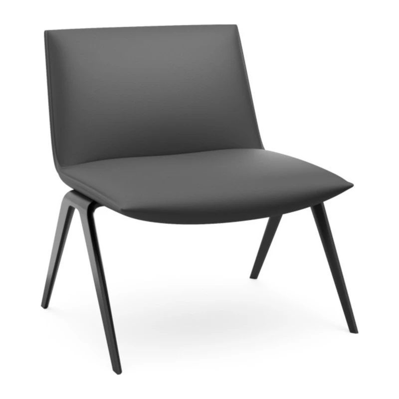 Aston - Black Synthetic Leather - Black Legs